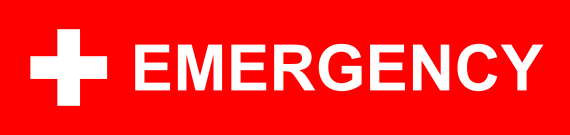 what to do in an emergency what to do in an emergency